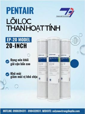LÕI LỌC THAN PENTAIR