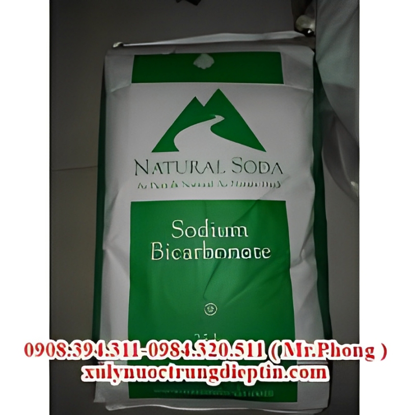 SODIUM BICAR BONATE USA