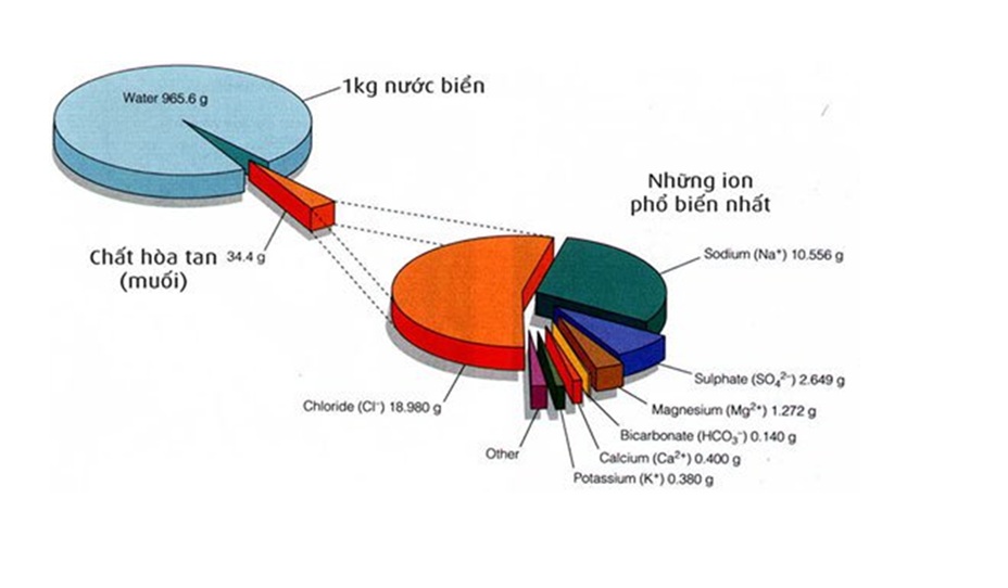 GIẢI PHÁP XỬ LÝ NƯỚC BIỂN